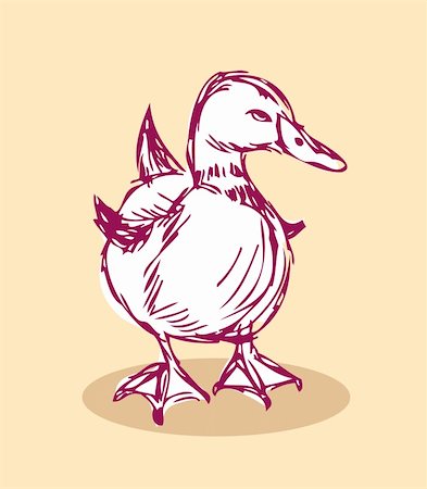 duck vector Isolated on background Tattoo retro style Stock Photo - Budget Royalty-Free & Subscription, Code: 400-04821492