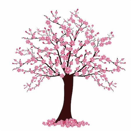 vector 10 eps vector illustration of many cherry blosoms on a tree Stock Photo - Budget Royalty-Free & Subscription, Code: 400-04822874