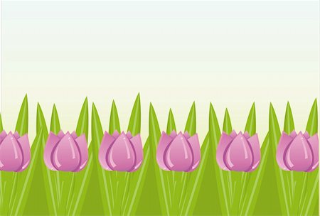 simsearch:400-04330288,k - colorful tulips background Stock Photo - Budget Royalty-Free & Subscription, Code: 400-04823689