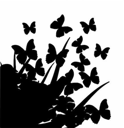 Illustration with silhouettes of butterflies, flowers and grass Stock Photo - Budget Royalty-Free & Subscription, Code: 400-04835499