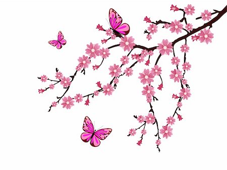 vector eps 10 illustration of a branch with cherry blossoms Stock Photo - Budget Royalty-Free & Subscription, Code: 400-04837531