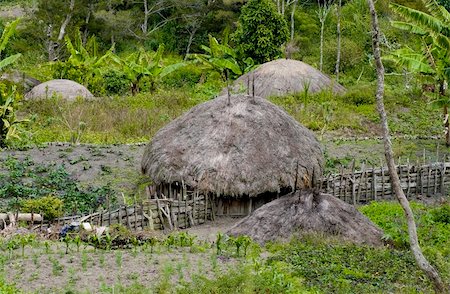 A traditional village in Papua, Indonesia Stock Photo - Budget Royalty-Free & Subscription, Code: 400-04839317