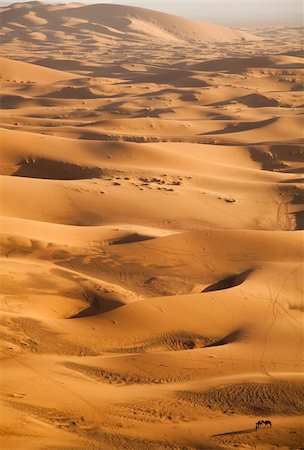 saharan - Desert dunes in Morocco Stock Photo - Budget Royalty-Free & Subscription, Code: 400-04839887