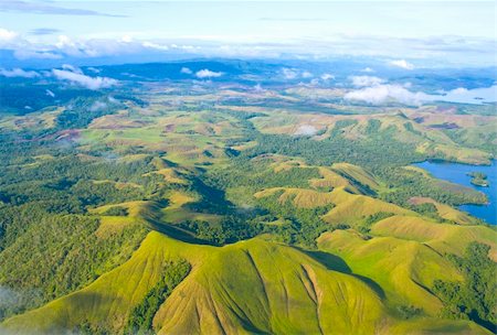 Aerial photo of the  coast of New Guinea with jungles and deforestation Stock Photo - Budget Royalty-Free & Subscription, Code: 400-04832356