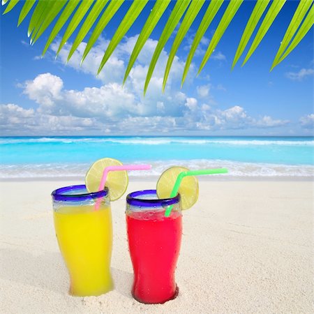 simsearch:400-05944023,k - beach tropical cocktails palm tree leafl turquoise beach on Caribbean Sea Stock Photo - Budget Royalty-Free & Subscription, Code: 400-04832903