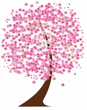 simsearch:400-04882926,k - vector illustration of a cherry tree in blossom Stock Photo - Budget Royalty-Free & Subscription, Code: 400-04833018