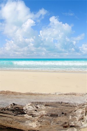 simsearch:400-04329339,k - Caribbean tropical beach from weathered limestone on sea Stock Photo - Budget Royalty-Free & Subscription, Code: 400-04833081