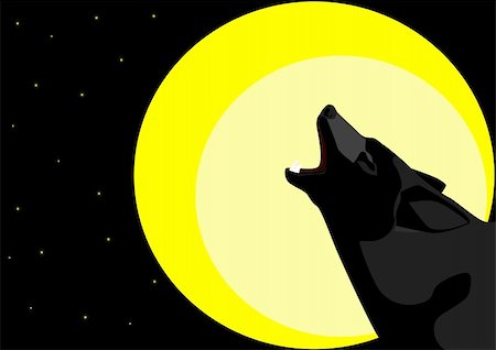 Lone Wolf starry night howling at the moon Stock Photo - Budget Royalty-Free & Subscription, Code: 400-04833726