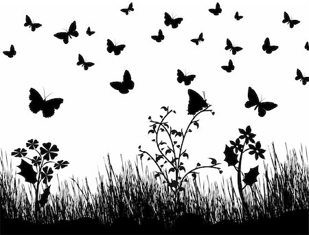 Background with silhouettes of butterflies, flowers and grass, vector illustration Stock Photo - Budget Royalty-Free & Subscription, Code: 400-04846087