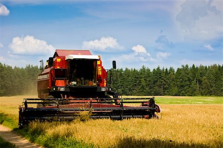 The combine image in the field of a rye harvesting Foto de stock - Super Valor sin royalties y Suscripción, Código: 400-04847425