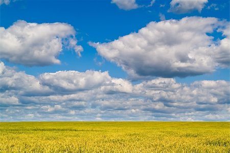 simsearch:400-04996406,k - beautiful landscape with blue sky and white clouds Stock Photo - Budget Royalty-Free & Subscription, Code: 400-04848448