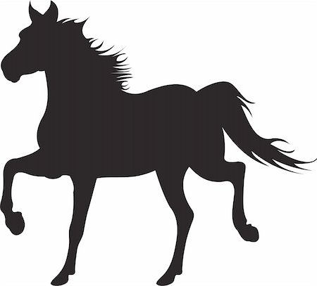 horse silhouette isolated on white background. Vector illustration Stock Photo - Budget Royalty-Free & Subscription, Code: 400-04840054