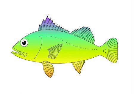 fish clip art to color - Illustration of a colourful fish on a white background Stock Photo - Budget Royalty-Free & Subscription, Code: 400-04842031