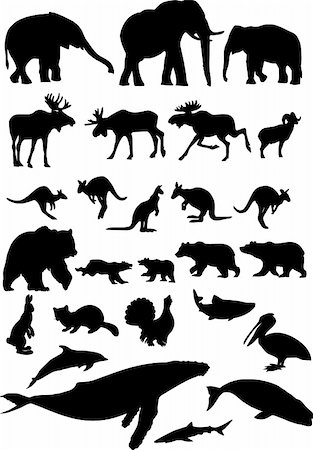 Animal  silhouette collection. Stock Photo - Budget Royalty-Free & Subscription, Code: 400-04842204