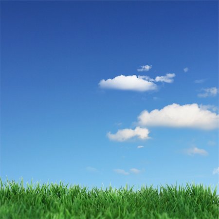 simsearch:400-05362449,k - Green field and blue clouds Stock Photo - Budget Royalty-Free & Subscription, Code: 400-04854712