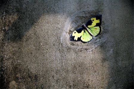 Concrete wall yellow butterfly Stock Photo - Budget Royalty-Free & Subscription, Code: 400-04856212