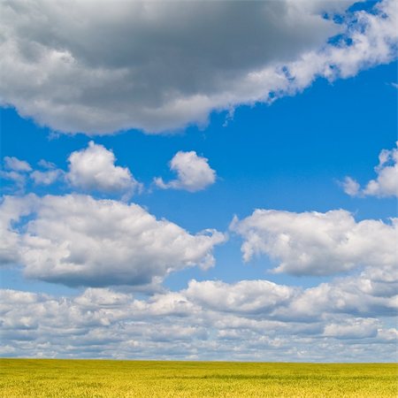 simsearch:400-04996406,k - beautiful landscape with blue sky and white clouds Stock Photo - Budget Royalty-Free & Subscription, Code: 400-04856759