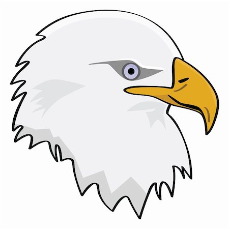 staring eagle - Cartoon illustration of the head of an eagle Photographie de stock - Aubaine LD & Abonnement, Code: 400-04857346