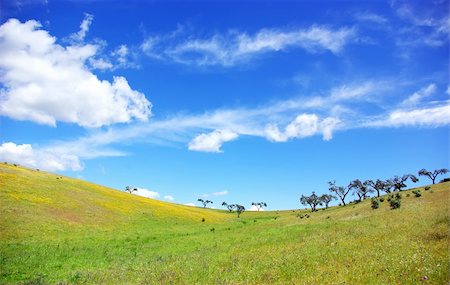 simsearch:400-04794343,k - Landscape of alentejo field at Portugal. Stock Photo - Budget Royalty-Free & Subscription, Code: 400-04858162