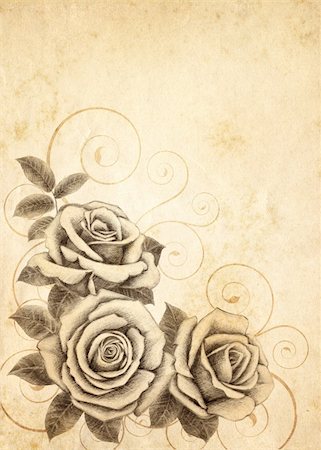simsearch:400-04776674,k - Old-styled rose. Freehand drawing Stock Photo - Budget Royalty-Free & Subscription, Code: 400-04852003