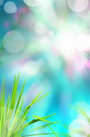 simsearch:400-06141235,k - abstract beautiful fresh grass and light reflect in morning Stock Photo - Budget Royalty-Free & Subscription, Code: 400-04867801