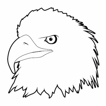 simsearch:400-04083265,k - outline drawn eagle head on white background Stock Photo - Budget Royalty-Free & Subscription, Code: 400-04868873