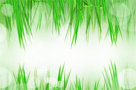simsearch:400-06141235,k - beautiful fresh grass and light reflect Stock Photo - Budget Royalty-Free & Subscription, Code: 400-04869731