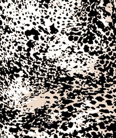 simsearch:400-04053564,k - fashion leopard skin pattern Stock Photo - Budget Royalty-Free & Subscription, Code: 400-04869964