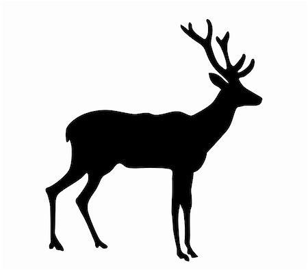 deer hunt - vector silhouette deer on white background Stock Photo - Budget Royalty-Free & Subscription, Code: 400-04861145