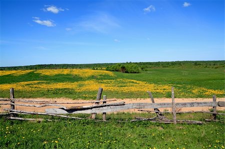 simsearch:400-07054392,k - old fence on field Photographie de stock - Aubaine LD & Abonnement, Code: 400-04861182