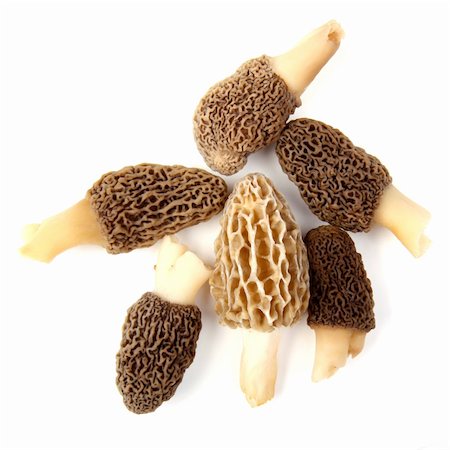 simsearch:400-04824992,k - Group of one yellow and five gray morel mushrooms (Morchella esculenta) collected in a back yard in Indiana, USA, isolated against a white background Stock Photo - Budget Royalty-Free & Subscription, Code: 400-04877403