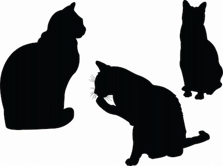 illustration of cat collection - vector Stock Photo - Budget Royalty-Free & Subscription, Code: 400-04878283