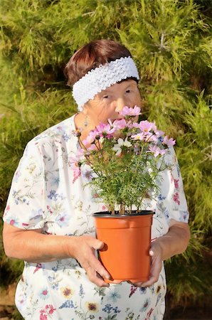 A Senior woman tending to a garden Stock Photo - Budget Royalty-Free & Subscription, Code: 400-04878526