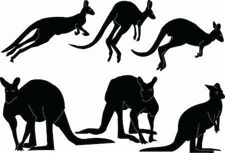 kangaroo silhouette collection - vector Stock Photo - Budget Royalty-Free & Subscription, Code: 400-04879008