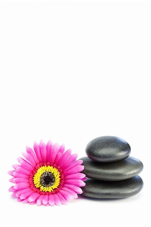 simsearch:400-05373814,k - Pink and yellow flower touching piled up pebbles on a white background Stock Photo - Budget Royalty-Free & Subscription, Code: 400-04870132