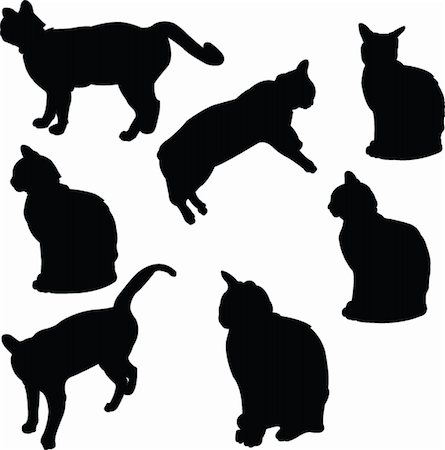 illustration cat collection - vector Stock Photo - Budget Royalty-Free & Subscription, Code: 400-04870379