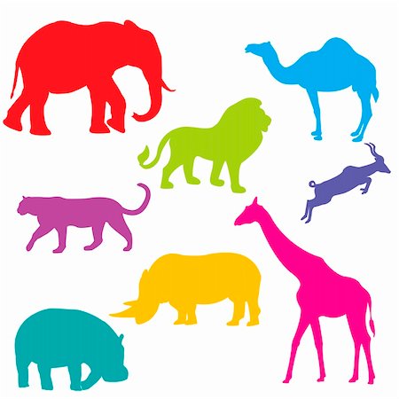 Set of African animals, isolated and grouped objects over white background Stock Photo - Budget Royalty-Free & Subscription, Code: 400-04870516