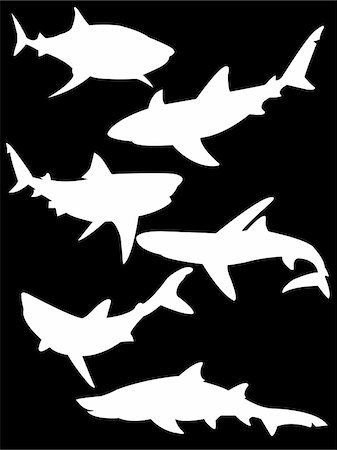 simsearch:400-05123541,k - collection of sharks silhouette isolated on black - vector Stock Photo - Budget Royalty-Free & Subscription, Code: 400-04872633