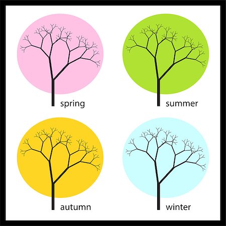 fall winter spring summer nature colors - graphic vector illustration of tree in four seasons Foto de stock - Super Valor sin royalties y Suscripción, Código: 400-04884821