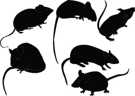 rat - mouse collection - vector Stock Photo - Budget Royalty-Free & Subscription, Code: 400-04885997