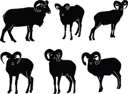 ram animal side view - muflon collection - vector Stock Photo - Budget Royalty-Free & Subscription, Code: 400-04885998