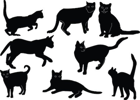 sleeping in class pictures blacks - cat collection -vector Stock Photo - Budget Royalty-Free & Subscription, Code: 400-04886020