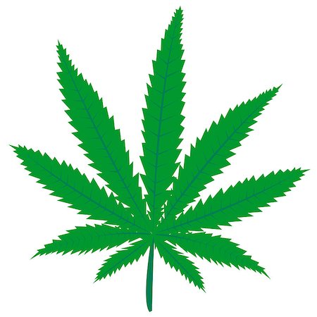 Marijuana green leaf Stock Photo - Budget Royalty-Free & Subscription, Code: 400-04886154