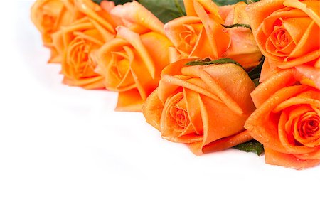 flower of orange roses on white background Stock Photo - Budget Royalty-Free & Subscription, Code: 400-04889037