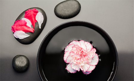 spa water background pictures - White and pink carnation floating on a bowl withblack stones around it and petals on one of the stone Stock Photo - Budget Royalty-Free & Subscription, Code: 400-04881235