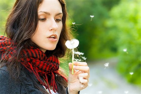 simsearch:400-04399510,k - Girl blowing on white dandelion in the forest Stock Photo - Budget Royalty-Free & Subscription, Code: 400-04883199