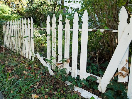photo picket garden - An old white picket fence falling into disrepair as it appears to be agandoned and unmaintained. Stock Photo - Budget Royalty-Free & Subscription, Code: 400-04896453