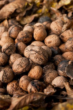 simsearch:400-04833195,k - Walnut pile with focus on middle one with leaves around Stock Photo - Budget Royalty-Free & Subscription, Code: 400-04897628