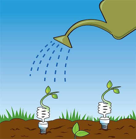 A watering can watering some green cfl light bulbs in the garden signifying a growing green movement or an environmental theme. Foto de stock - Super Valor sin royalties y Suscripción, Código: 400-04891481