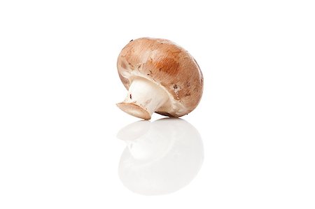 simsearch:400-04824992,k - A fresh brown mushroom against a white background Stock Photo - Budget Royalty-Free & Subscription, Code: 400-04892161